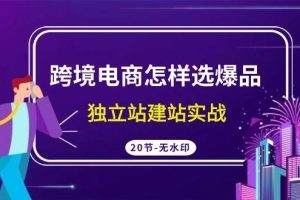 （9369期）跨境电商怎样选爆品，独立站建站实战（20节高清无水印课）