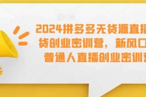 2024拼多多无货源直播带货创业密训营，新风口，普通人直播创业密训营