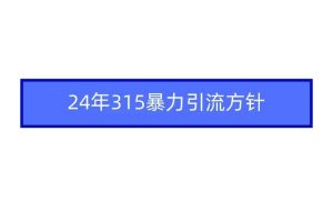 （9398期）2024年315暴力引流方针