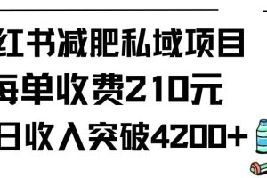 （9466期）小红书减肥私域项目每单收费210元单日成交20单，最高日入4200+