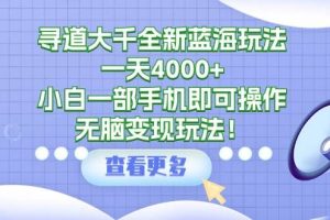 （9479期）寻道大千全新蓝海玩法，一天4000+，小白一部手机即可操作，无脑变现玩法！