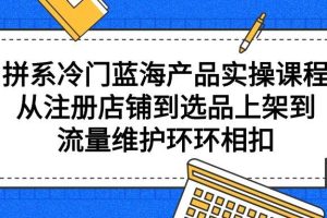 （9527期）拼系冷门蓝海产品实操课程，从注册店铺到选品上架到流量维护环环相扣