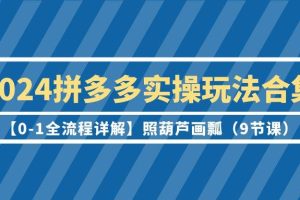 （9559期）2024拼多多实操玩法合集【0-1全流程详解】照葫芦画瓢（9节课）