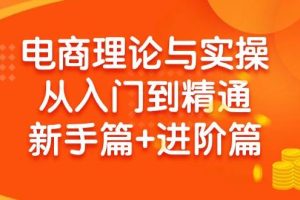 （9576期）电商理论与实操从入门到精通 新手篇+进阶篇