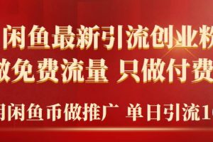 （9584期）2024年闲鱼币推广引流创业粉，不做免费流量，只做付费流量，单日引流100+