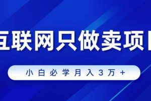 （9623期）互联网的尽头就是卖项目，被割过韭菜的兄弟们必看！轻松月入三万以上！