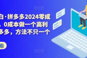 拼多多2024零成本包起，0成本做一个高利润的拼多多，方法不只一个