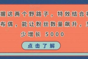 掌握这两个野路子，特效结合神奇布偶，能让粉丝数量飙升，至少增长 5000【揭秘】