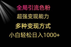 （9680期）全局引流色粉 超强变现能力 多种变现方式 小白轻松日入1000+