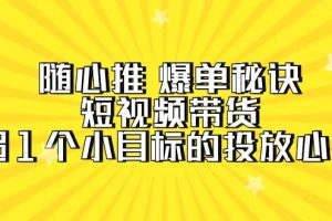 （9687期）随心推 爆单秘诀，短视频带货-超1个小目标的投放心得（7节视频课）