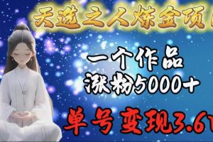 （9693期）天选之人炼金项目，一个作品涨粉5000+，单号变现3.6w