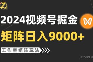 （9709期）【蓝海项目】2024视频号自然流带货，工作室落地玩法，单个直播间日入9000+