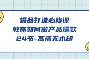 （9739期）爆品 打造必修课，教你如何-做产品爆款（24节-高清无水印）