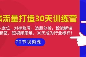 （9782期）实体-流量打造-30天训练营：个人定位，对标账号，选题分析，投流解读-70节