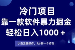 （9791期）冷门项目，靠一款软件暴力掘金日入1000＋，小白轻松上手第二天见收益