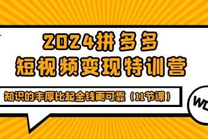 （9817期）2024拼多多短视频变现特训营，知识的丰厚比起金钱更可靠（11节课）