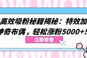 两个高效吸粉秘籍揭秘：特效加持与神奇布偶，轻松涨粉5000+【揭秘】