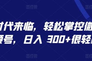 AI 时代来临，轻松掌控微信视频号，日入 300+很轻松【揭秘】