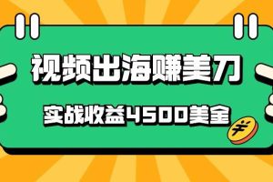 国内爆款视频出海赚美刀，实战收益4500美金，批量无脑搬运，无需经验直接上手