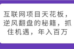 互联网项目天花板，逆风翻盘的秘籍，抓住机遇，年入百万