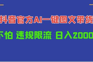 （10005期）日入1000+抖音官方AI工具，一键图文带货，不怕违规限流