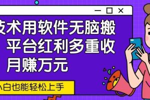 新技术用软件无脑搬运，平台红利多重收益，月赚万元，小白也能轻松上手