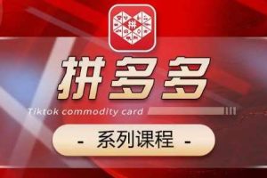 2024拼多多系列课，【基础】【运营】【活动】【推广】【玩法】5大模块