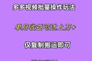 （10029期）拼多多视频带货快速过爆款选品教程 每天轻轻松松赚取三位数佣金 小白必…