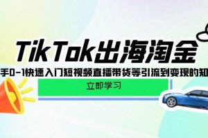 （10035期）TikTok-出海淘金，新手0-1快速入门短视频直播带货等引流到变现的知识