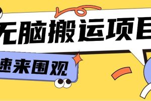 小红书虚拟项目，无脑搬运，零成本零门槛轻松月入3000+【视频教程+配套工具】