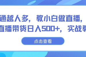 越普通越人多，教小白做直播，不露脸直播带货日入500+，实战教学