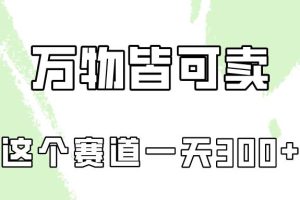 万物皆可卖，小红书这个赛道不容忽视，实操一天300！