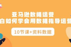 （10158期）亚马逊数据运营，小白如何学会用数据指导运营（10节课+资料数据）