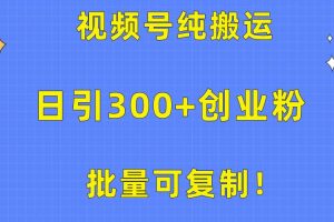 （10186期）批量可复制！视频号纯搬运日引300+创业粉教程！