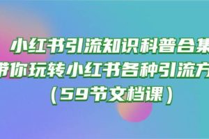 （10223期）小红书引流知识科普合集，带你玩转小红书各种引流方法（59节文档课）