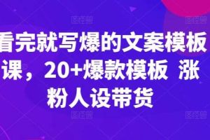 看完就写爆的文案模板课，20+爆款模板  涨粉人设带货