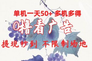 （10241期）0撸看广告 单机一天50+多机多得 提现秒到 不限制场地操作