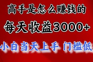 高手是怎么一天赚3000+的，小白当天上手，翻身项目，非常稳定。