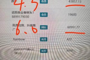 （10248期）最新看广告平台（不是尚玩），单机一天稳定收益50-100+