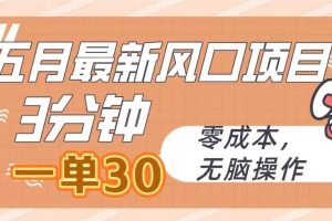 （10256期）五月最新风口项目，3分钟一单30，零成本，无脑操作