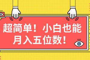 （10257期）超简单图文项目！小白也能月入五位数