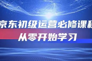 （10261期）京东初级运营必修课程，从零开始学习