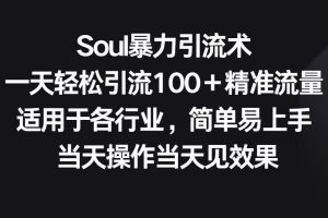 Soul暴力引流术，一天轻松引流100＋精准流量，适用于各行业，简单易上手！