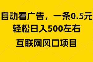 （10306期）广告收益风口，轻松日入500+，新手小白秒上手，互联网风口项目