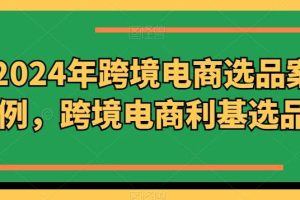 2024年跨境电商选品案例，跨境电商利基选品