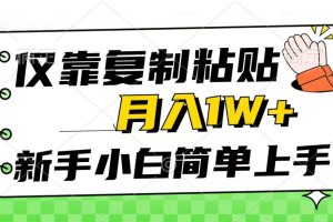 （10461期）仅靠复制粘贴，被动收益，轻松月入1w+，新手小白秒上手，互联网风口项目