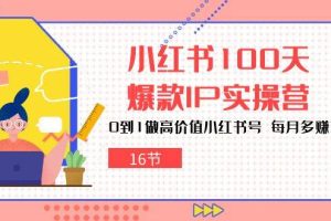 小红书100天爆款IP实操营，0到1做高价值小红书号，每月多赚3000+（16节）