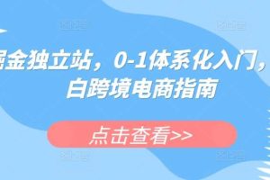 掘金独立站，0-1体系化入门，小白跨境电商指南