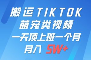 一键搬运TIKTOK萌宠类视频，一部手机即可操作，所有平台均可发布 轻松月入5W+