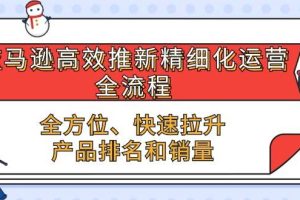 （10554期）亚马逊-高效推新精细化 运营全流程，全方位、快速 拉升产品排名和销量